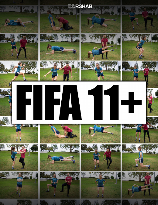 19-freebie-fifa11-p-1.png