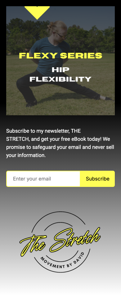 09-hip-ebook-optin-mobile.png